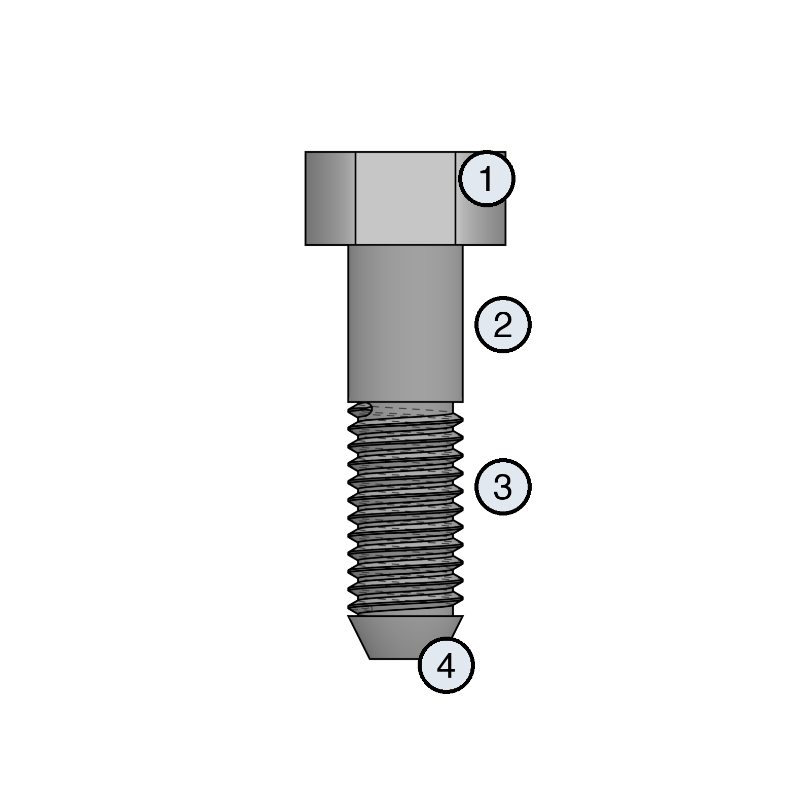 Anatomy of a bolt